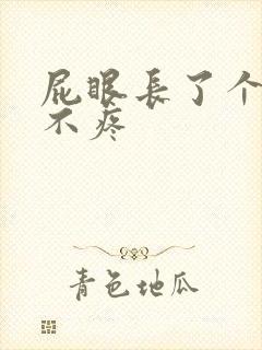 屁眼长了个肉球不疼封面