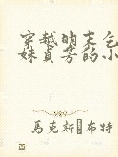 穿越明末乞丐妹妹贞芳的小说封面