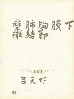 双肺胸膜下散在微结节