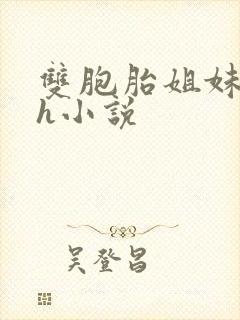 双胞胎姐妹还债h小说