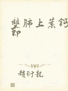 双肺上叶钙化结节