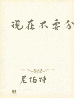 现在不要分手