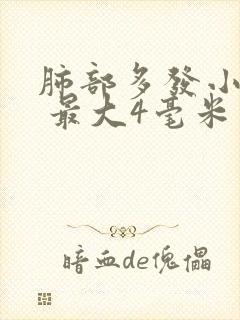 肺部多发小结节 最大4毫米