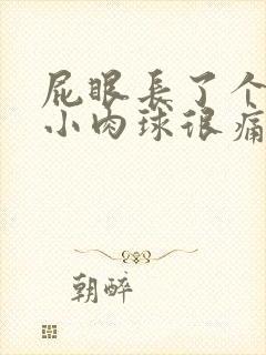 屁眼长了个硬的小肉球很痛