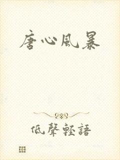 唐心风暴