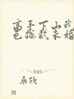 高手下山我的绝色总裁未婚妻