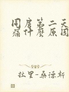 同房第二天下腹痛什么原因?封面