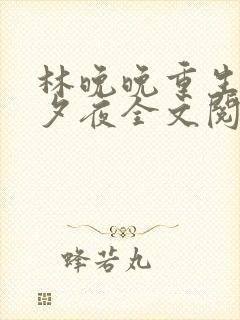 林晚晚重生回除夕夜全文阅读封面