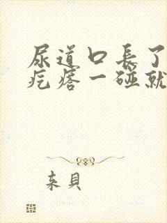 尿道口长了个肉疙瘩一碰就疼