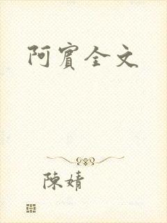 阿宾全文封面