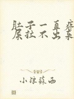 肚子一直疼想拉屎拉不出来