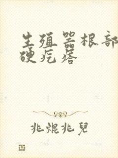 生殖器根部上有硬疙瘩封面