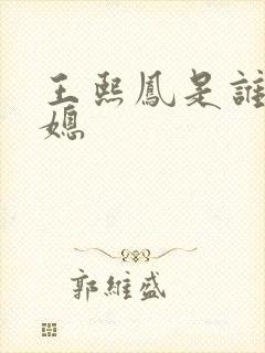 王熙凤是谁的儿媳