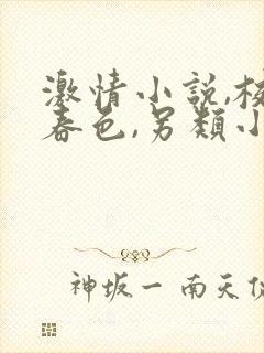 激情小说,校园春色,另类小说