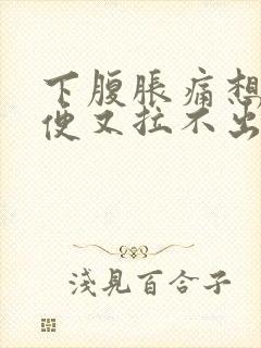 下腹胀痛想拉大便又拉不出来难受封面