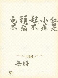 龟头起小红疙瘩不痛不痒是怎么回事封面