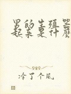 男的生殖器硬不起来是什么原因