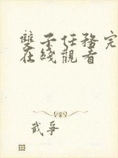 双子任务完整版在线观看