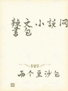 辣文小说网第二书包