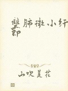 双肺微小纤维结节封面