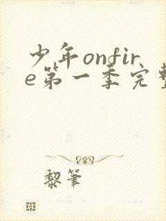 少年onfire第一季完整版合集封面