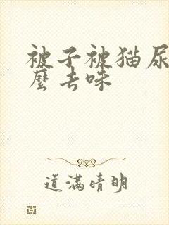 被子被猫尿了怎么去味