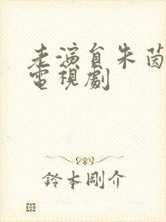 老演员朱茵演的电视剧