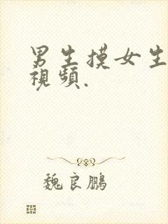 男生摸女生的胸视频.