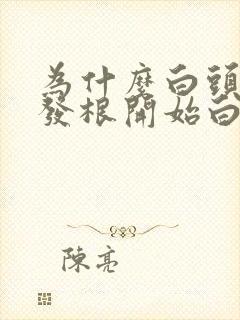 为什么白头发从发根开始白封面