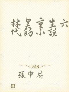 林昊重生六零年代的小说封面