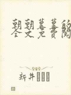 朝朝暮暮的小说全文免费阅读封面