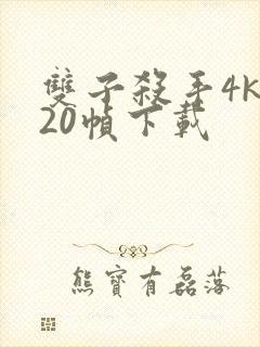 双子杀手4k120帧下载