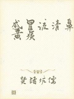 感冒流清鼻涕咳黄痰封面