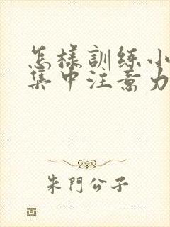 怎样训练小孩的集中注意力