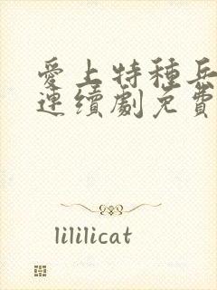 爱上特种兵电视连续剧免费观看