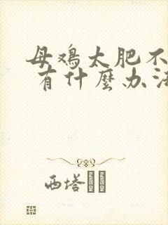 母鸡太肥不下蛋 有什么办法补救封面