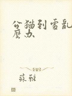 公猫到处乱尿怎么办