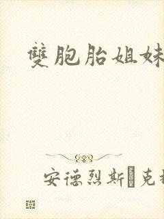 双胞胎姐妹小说