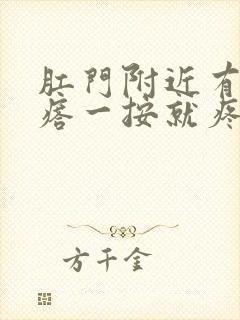 肛门附近有个疙瘩一按就疼怎么办