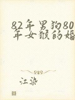 82年男狗80年女猴的婚姻怎么样封面