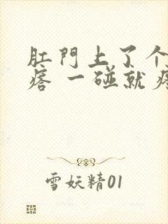 肛门上了个硬疙瘩 一碰就疼