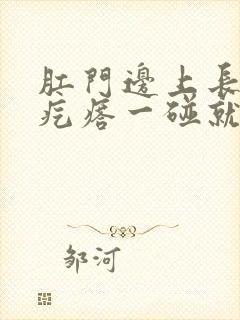 肛门边上长一个疙瘩一碰就疼