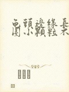 龟头边缘长了一圈小颗粒不痛不痒封面