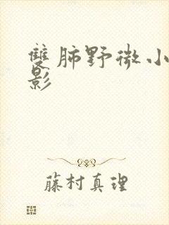 双肺野微小结节影