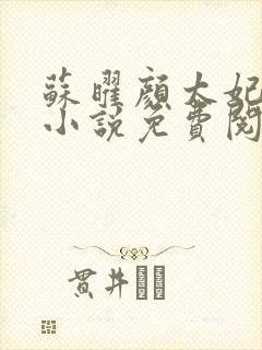 苏曜颜太妃穿越小说免费阅读全文