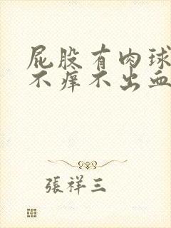 屁股有肉球不痛不痒不出血