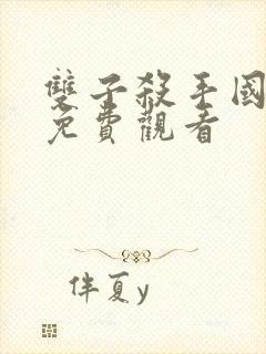 双子杀手国语版免费观看封面