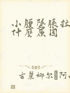 小腹坠胀拉血是什么原因