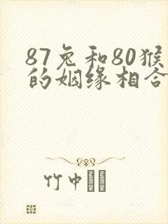 87兔和80猴的姻缘相合吗