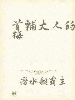 首辅大人的小青梅